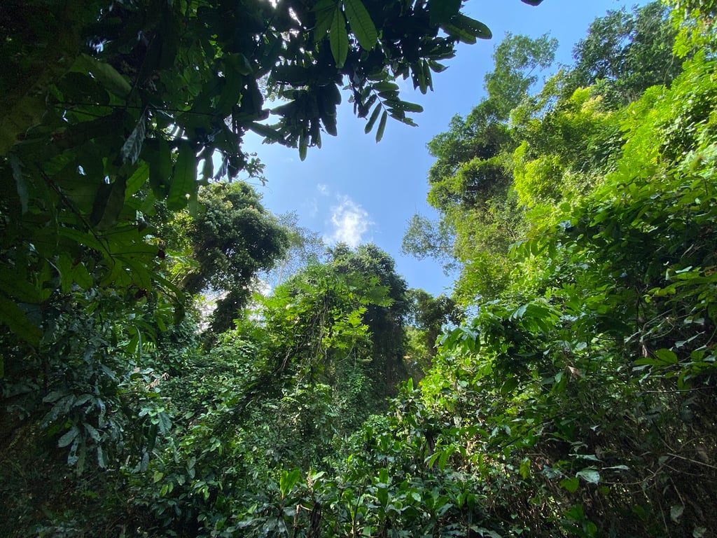 Banco National Park