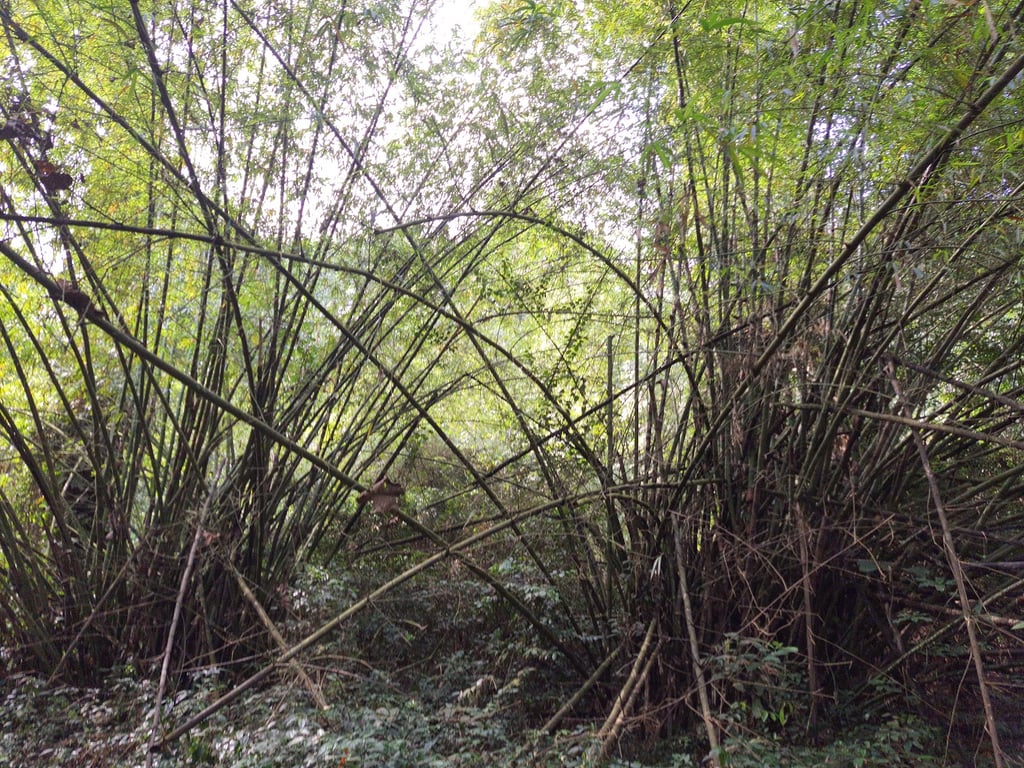 Banco National Park