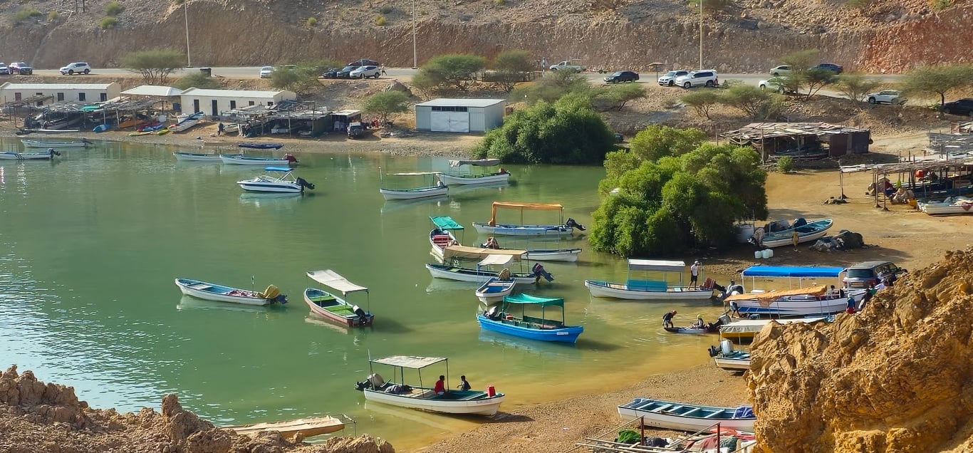 Bandar Al Khayran Viewpoint