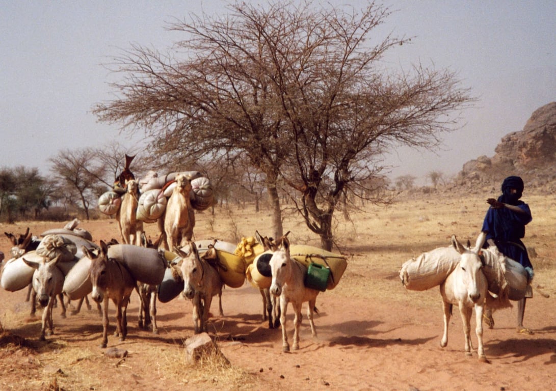 Bandiagara Escarpment
