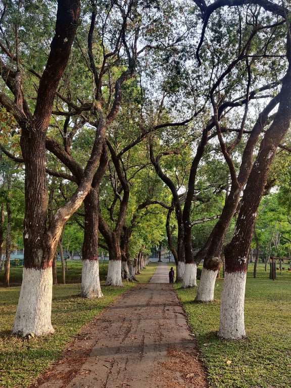 Bangladesh Tea Research Institute Viewpoint