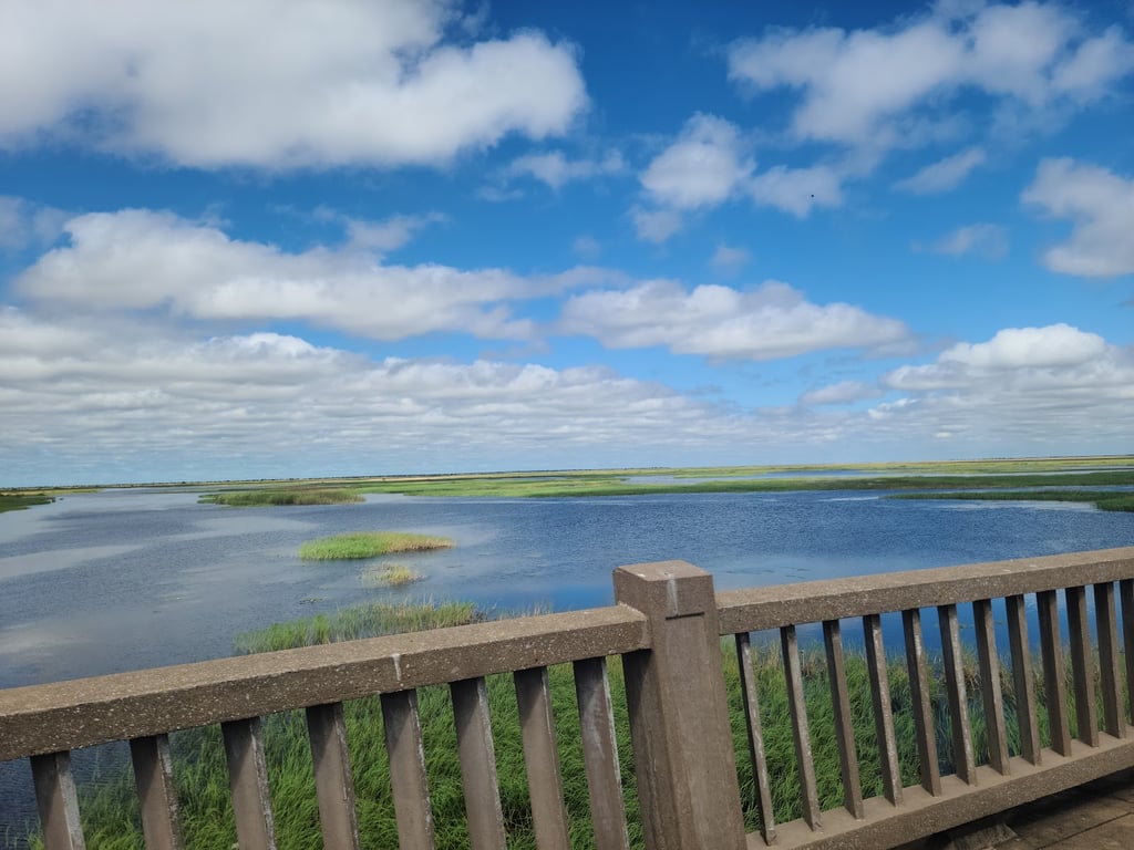 Bangweulu Wetlands