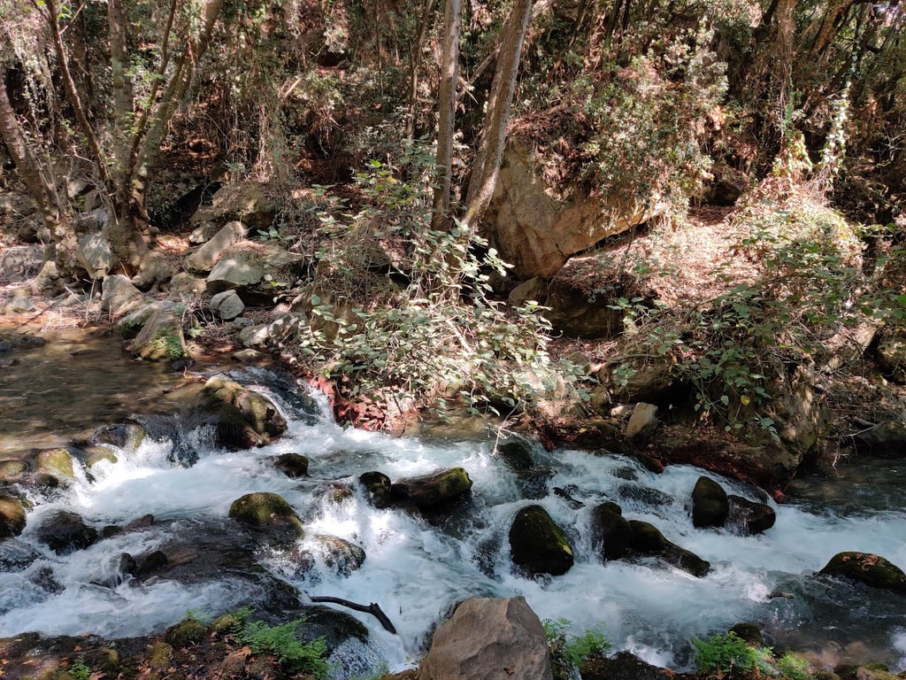 Banias Waterfall
