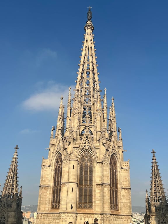 Barcelona Cathedral (La Seu)