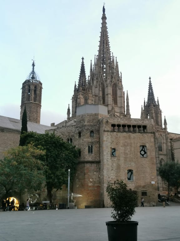 Barcelona Cathedral (La Seu)