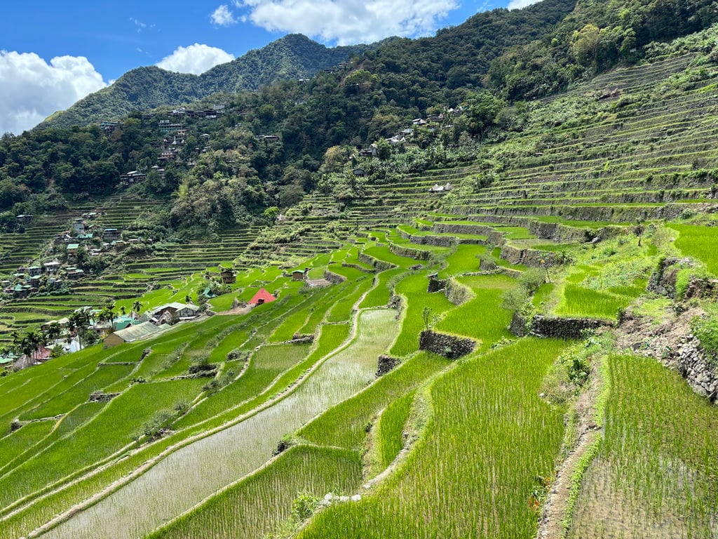 Batad Rice Terraces
