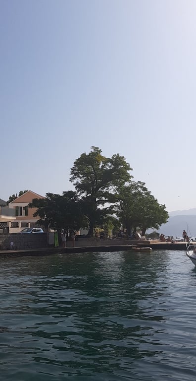 Bay of Kotor