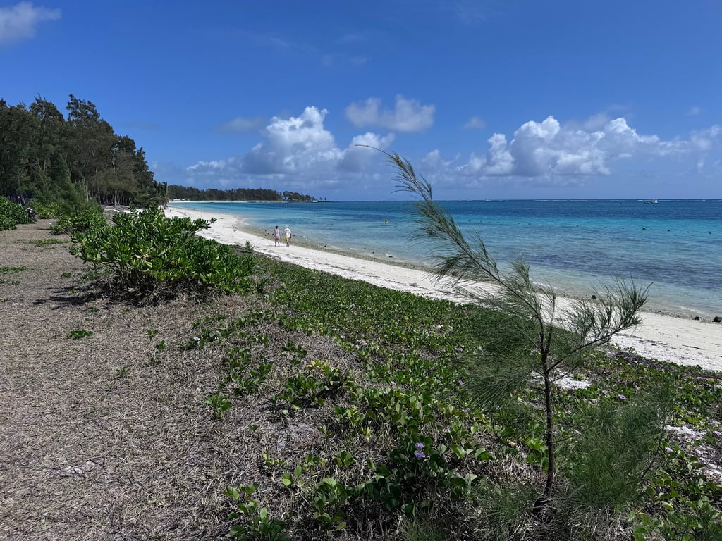 Belle Mare Beach