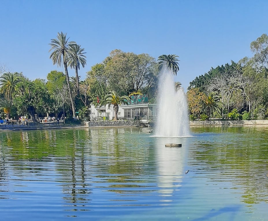 Belvedere Park view