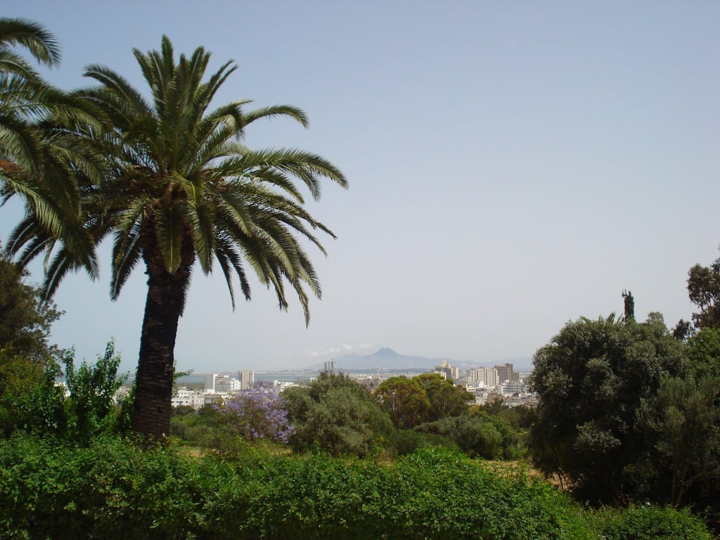 Belvedere Park view