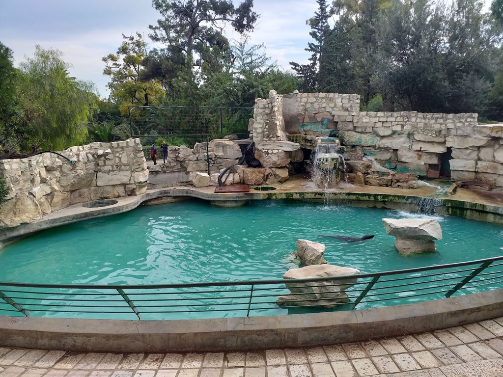 Belvedere Park view