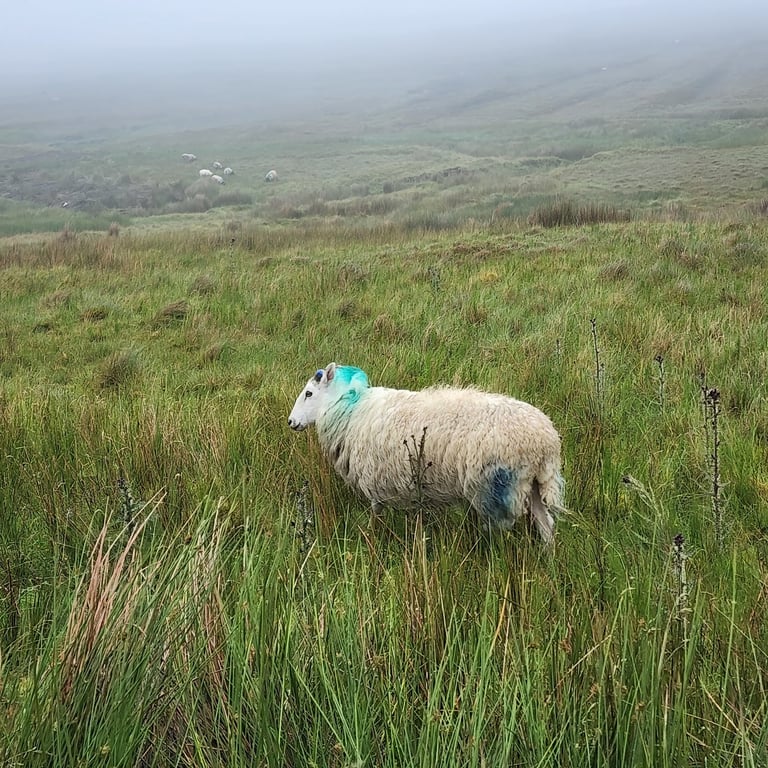 Benbulben Mountain
