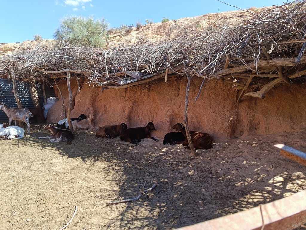 Berber Village in Matmata mountains