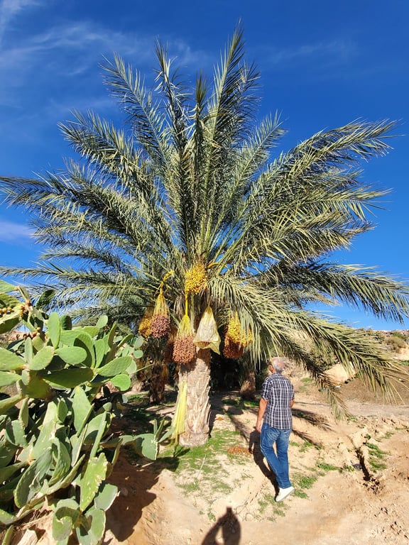 Berber Village in Matmata mountains