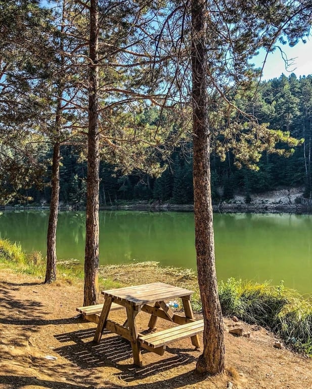 Bozcaarmut Göleti