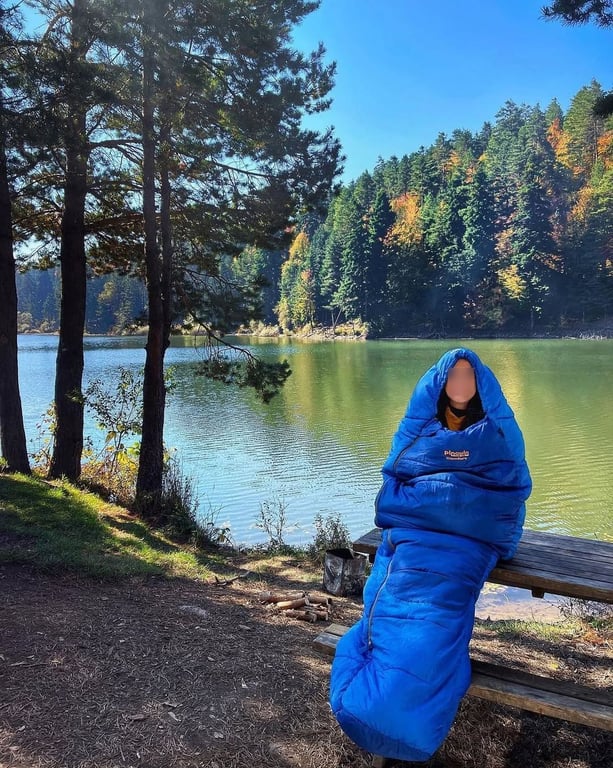 Bozcaarmut Göleti