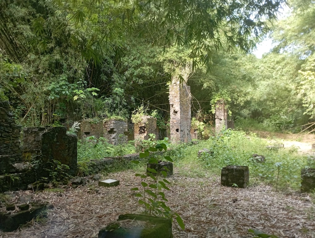 Bimbia Slave Port Ruins