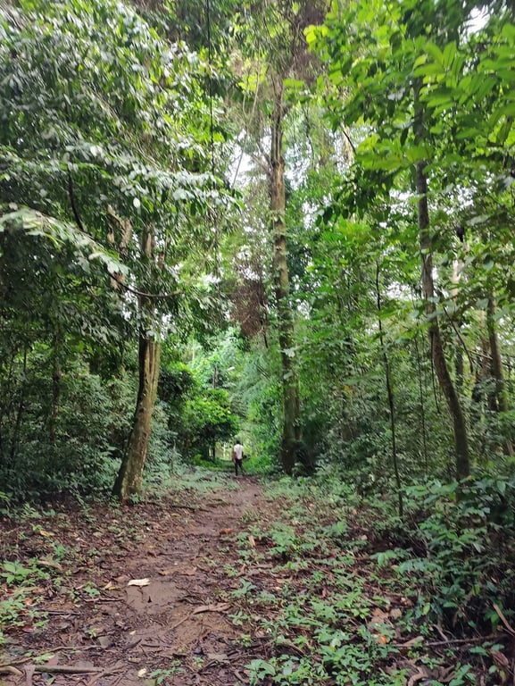 Bimbia Slave Port Ruins