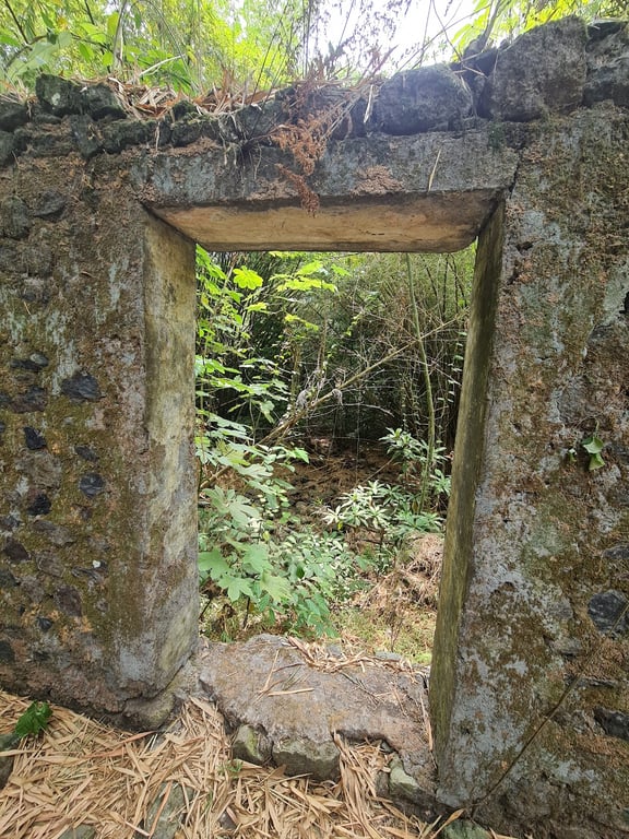 Bimbia Slave Port Ruins