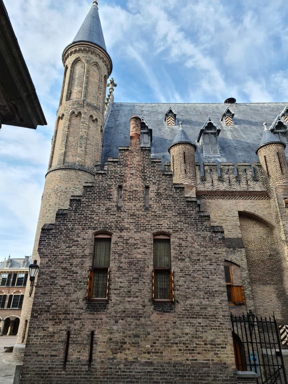 Binnenhof Parliament & Hofvijver