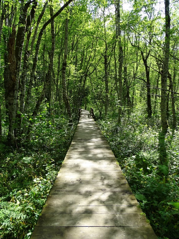 Biogradska Gora NP