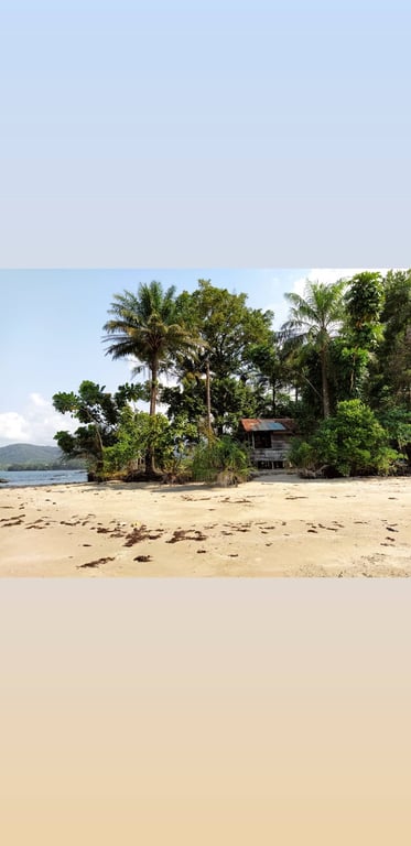 Black Johnson Beach