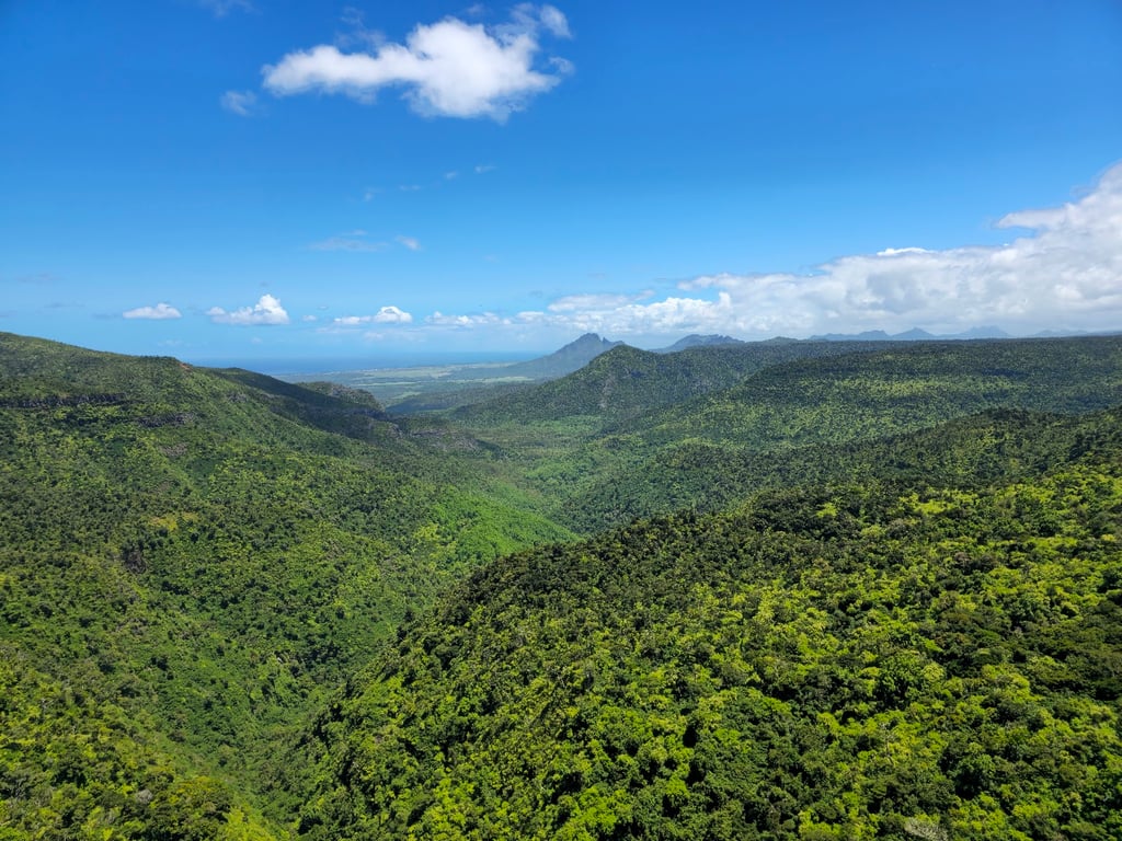 Black River Gorges National Park