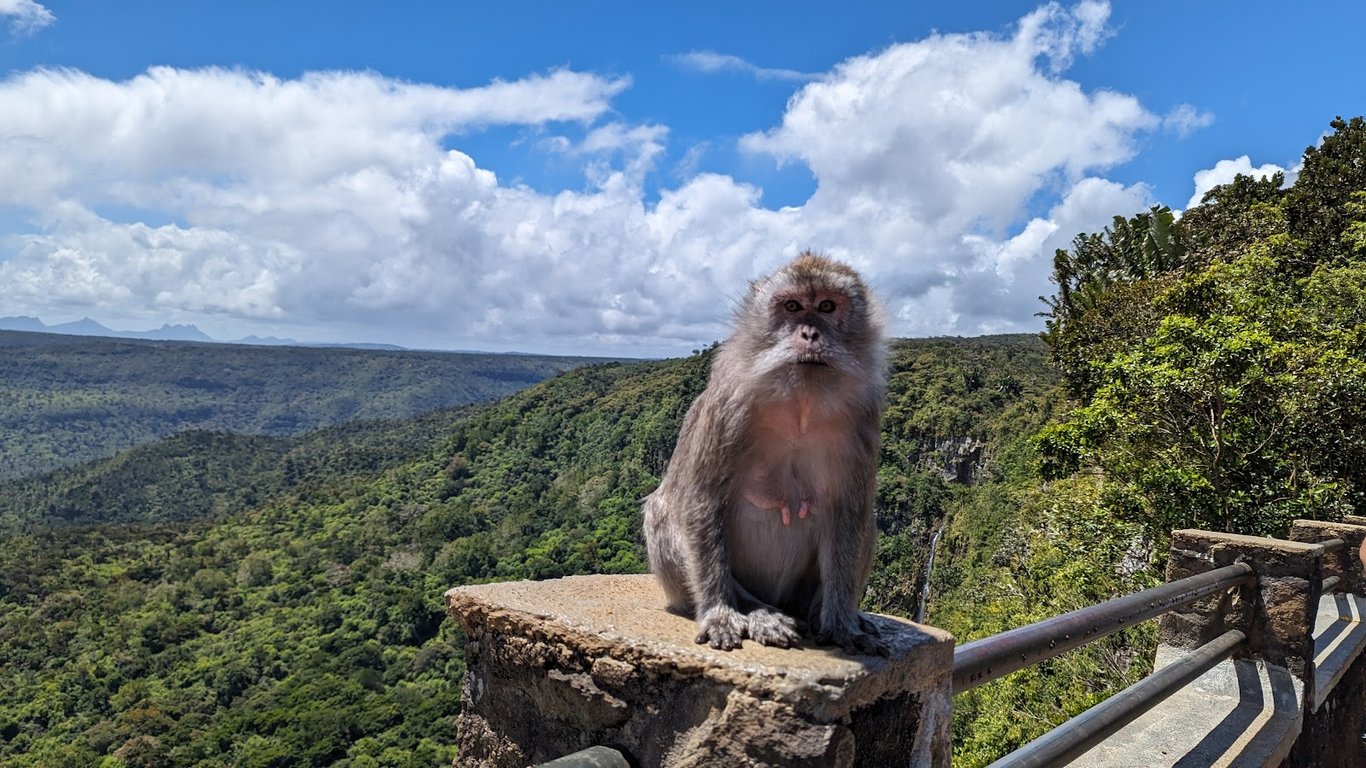 Black River Gorges National Park