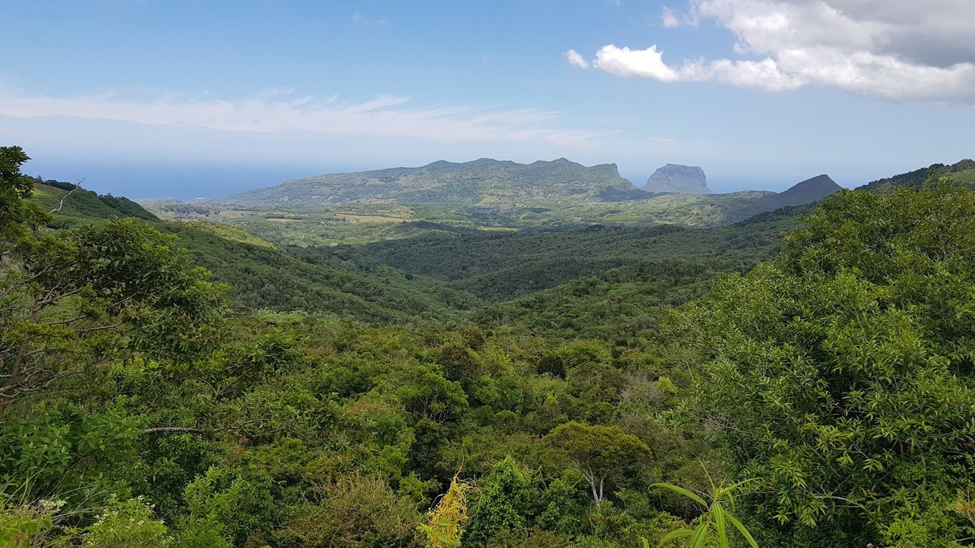 Black River Gorges National Park