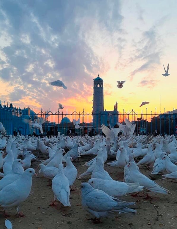 Blue Mosque