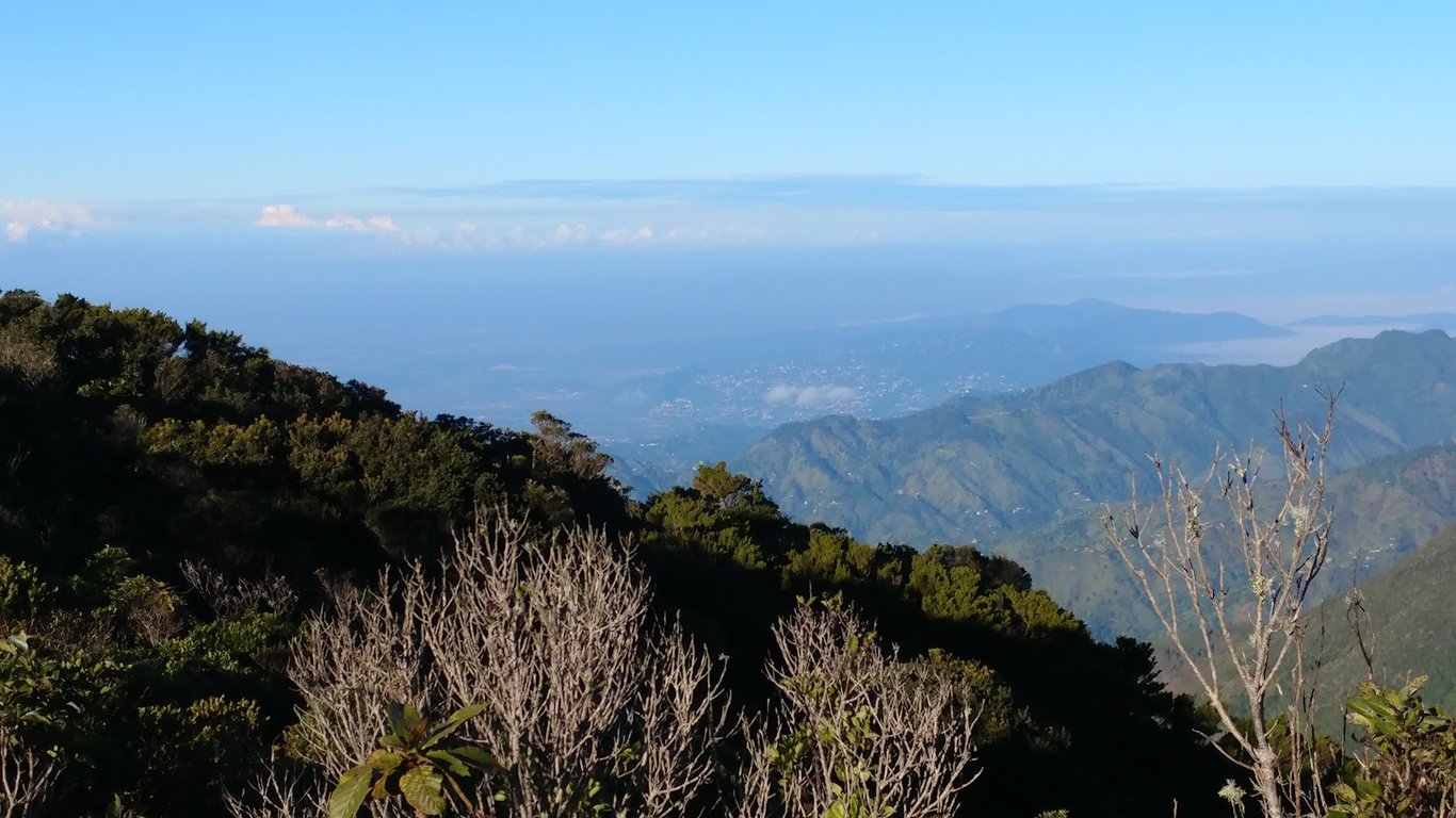 Blue Mountain Peak Trail