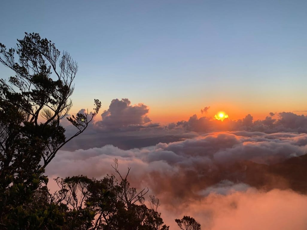 Blue Mountain Peak Trail