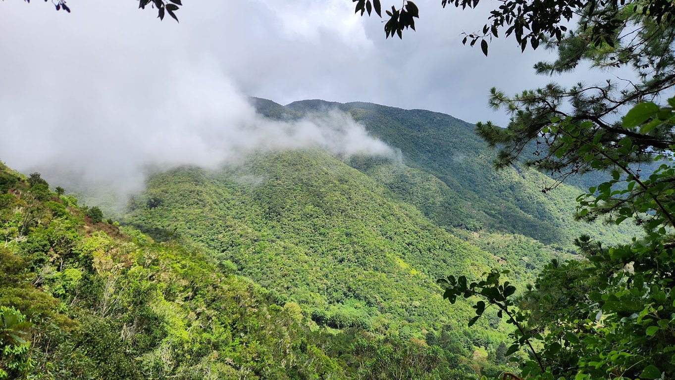 Blue Mountain Peak Trail