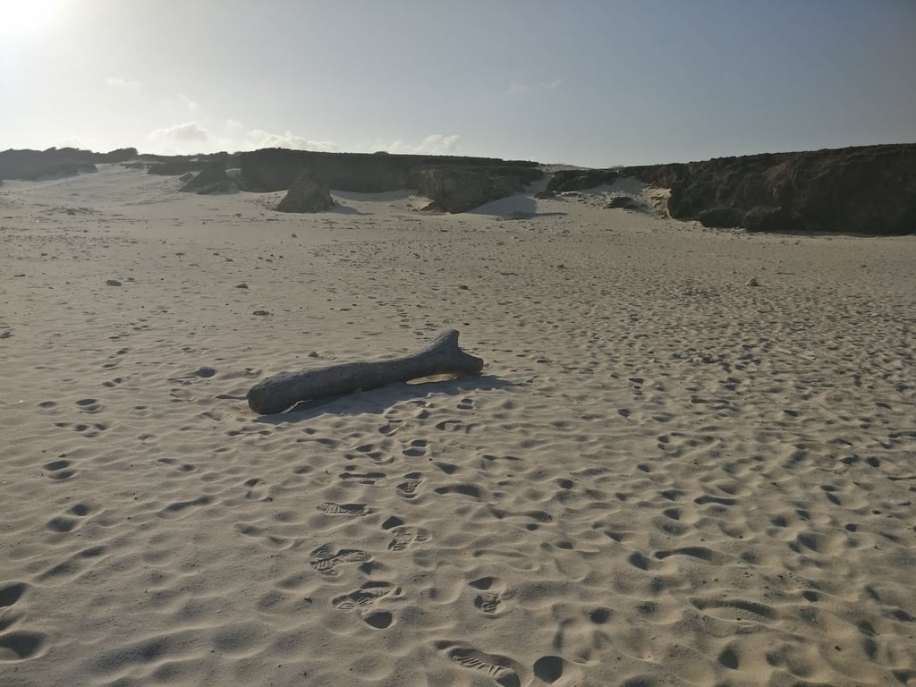 Boca Prins Dunes