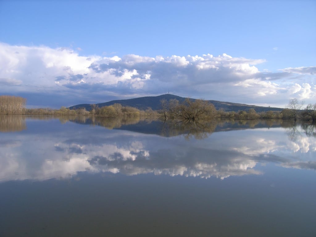 Bodrog River Misty Floodplain