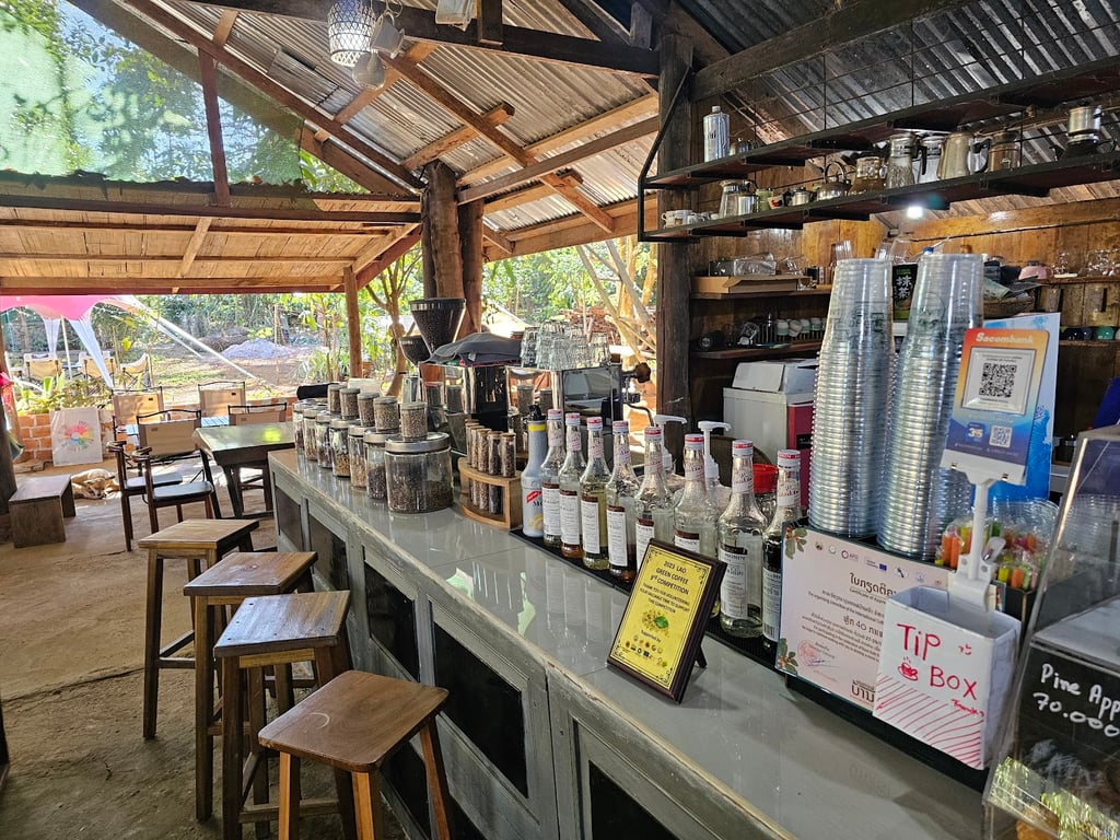 Bolaven Plateau Coffee Farms