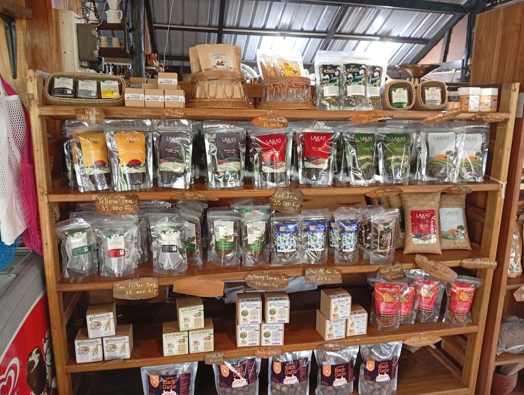 Bolaven Plateau Coffee Farms