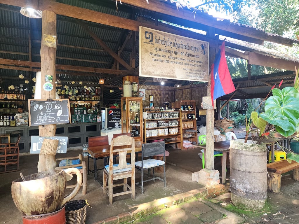 Bolaven Plateau Coffee Farms