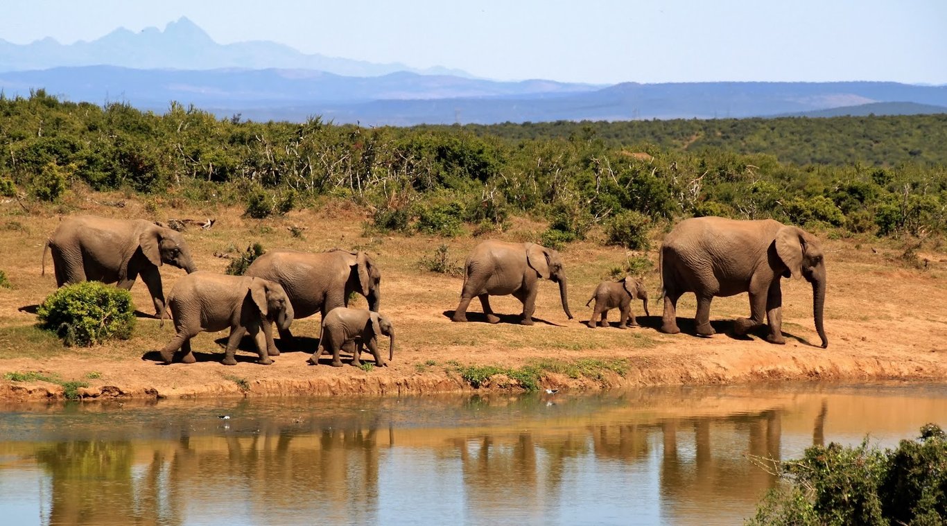 Boma Plains