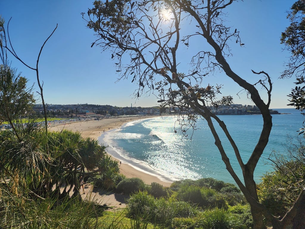 Bondi Beach