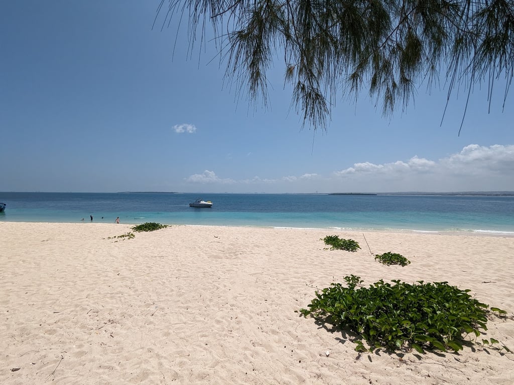 Bongoyo Island Marine Reserve