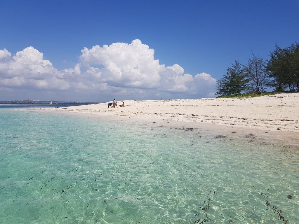 Bongoyo Island Marine Reserve