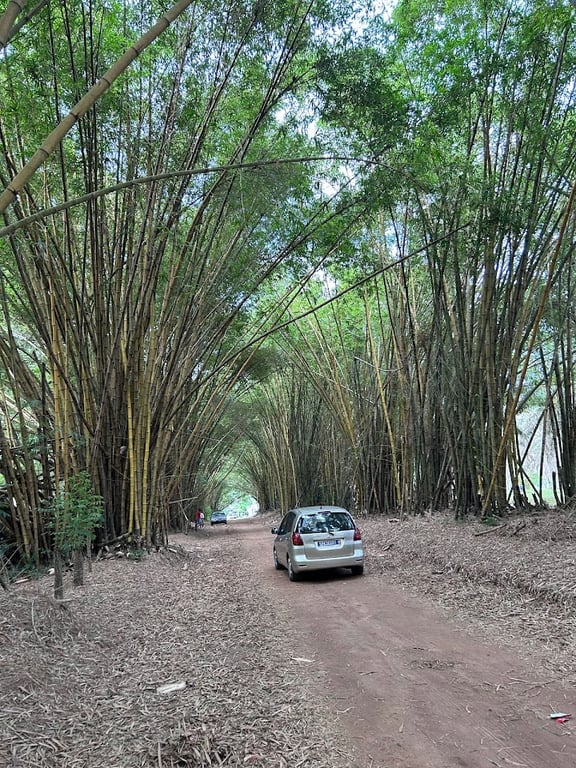 Botanical Garden