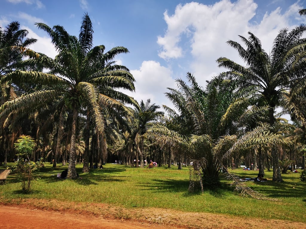 Botanical Garden