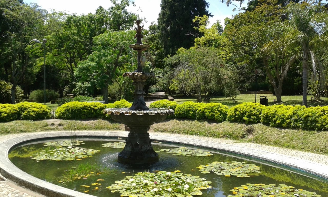 Botanical Garden & Japanese Garden