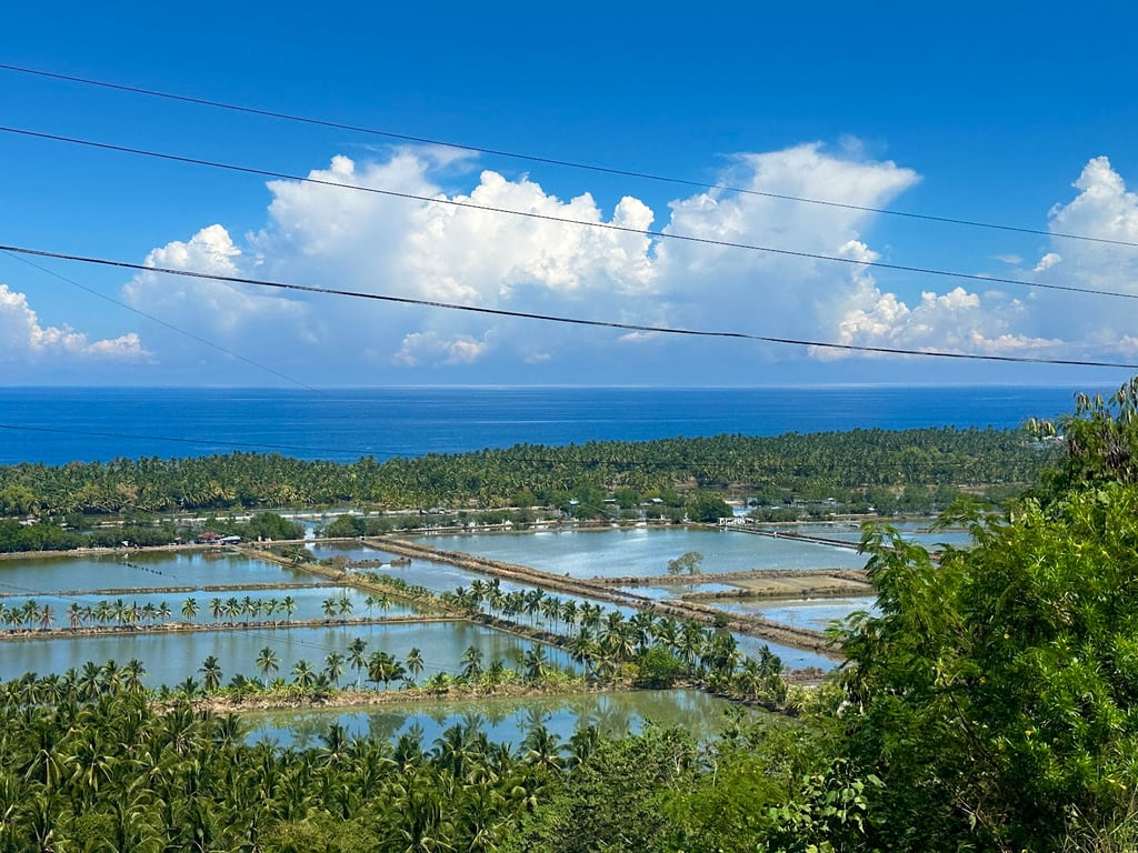 Bozo fishing villages