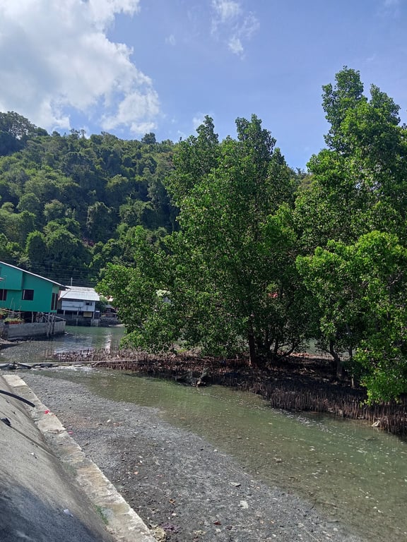 Bozo fishing villages