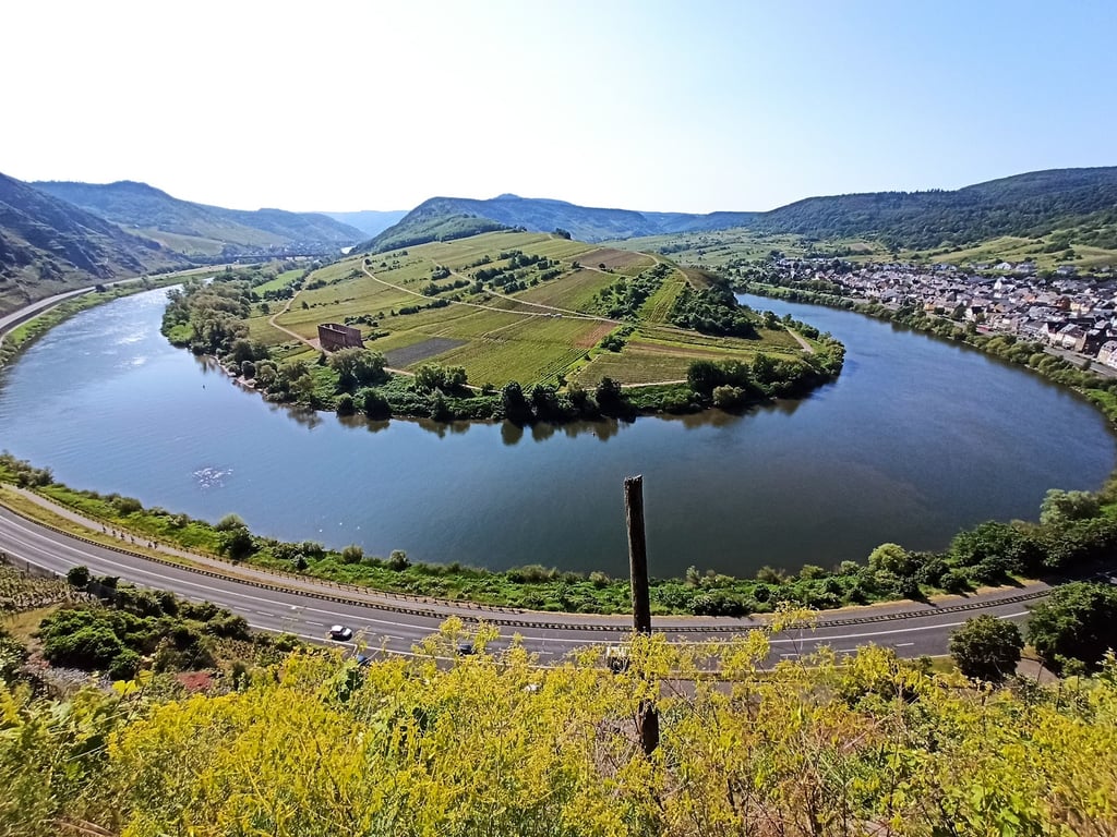 Bremm Calmont Vineyards