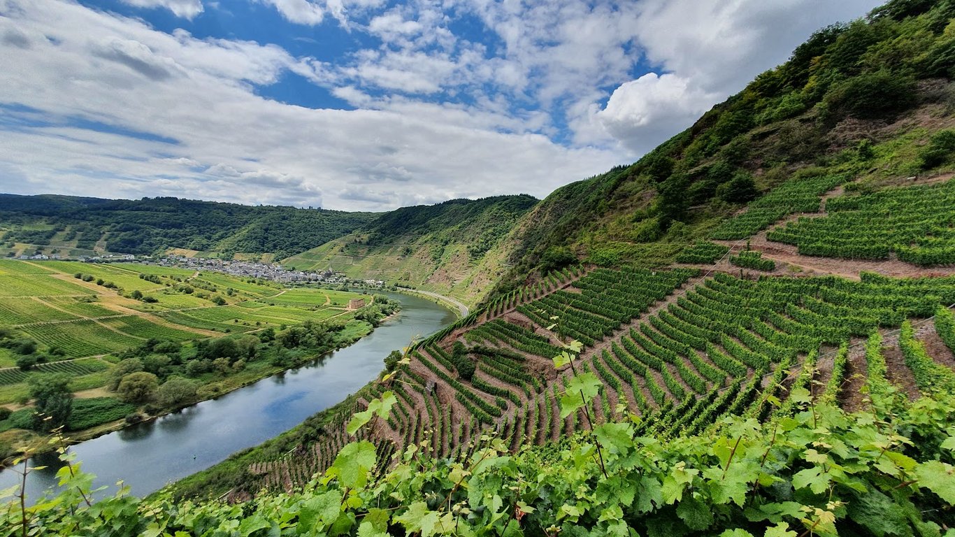 Bremm Calmont Vineyards