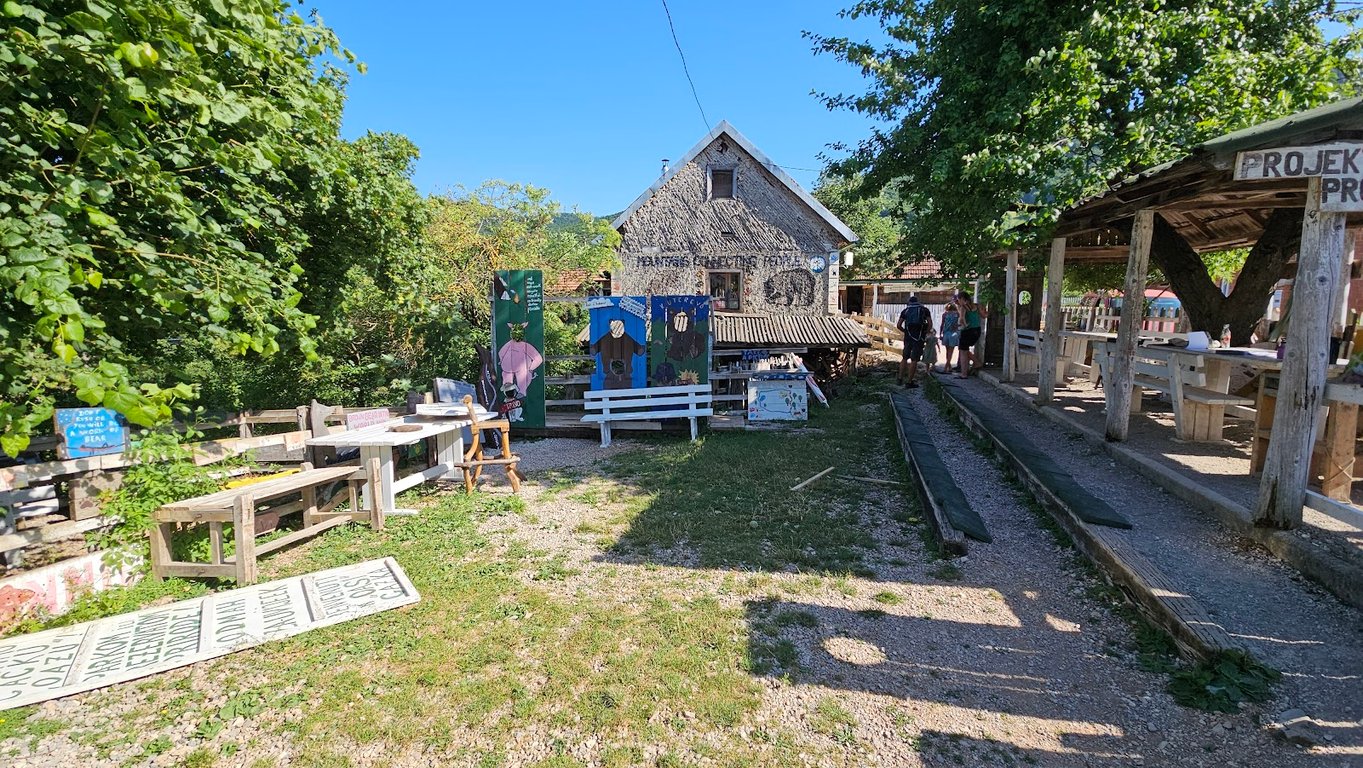 Brown Bear Sanctuary